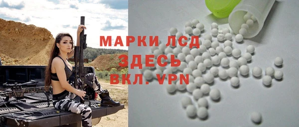 индика Чердынь
