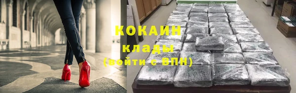 PSILOCYBIN Балабаново