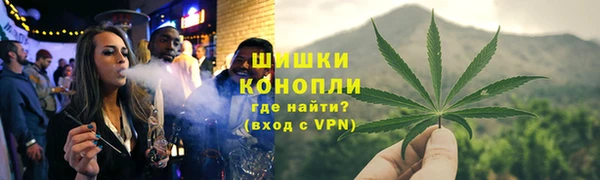 PSILOCYBIN Балабаново