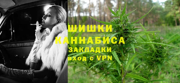 PSILOCYBIN Балабаново