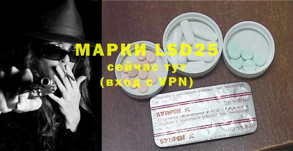 гашик Арсеньев